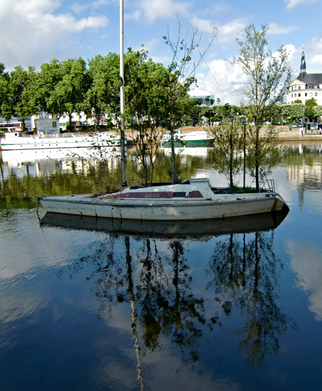 bateau-arbre