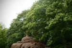 une tortue géante - oeuvre du sculpteur Patrick Dougherty, à Trévarez.