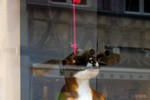 le chasseur