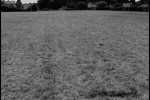 vue depuis les champs - façade est