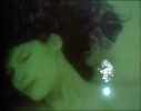 estuaire 2009 - Nymphéa - Ange Leccia