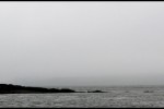 brouillard et phare