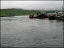 brouillard et port