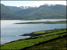Dingle