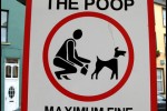 Attention aux crottes de chien