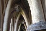dans le cloître