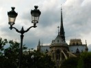 Notre Dame de dos