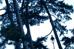 Buttes Chaumont
