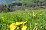 Vue depuis Mont-Louis