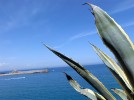 Collioure