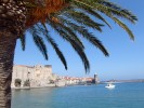 Collioure