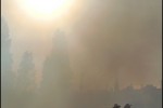 dans la brume
