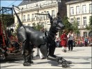 Xolo est très joueur