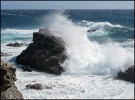 la Grande Bleue - quelques vagues