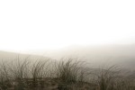 dunes dans la brume